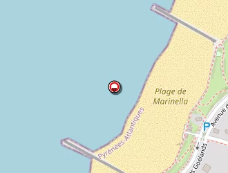 Carte de Bambou à Anglet