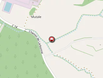 Carte de Boubee Emeric à Mirande