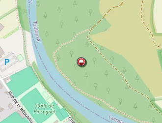 Carte de Marti Patrick à Pinsaguel