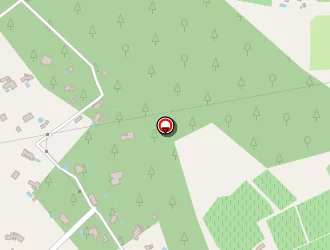 Carte de Altie Aline à Draguignan