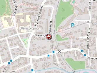 Carte de Balestrat Sylvie à Anglet