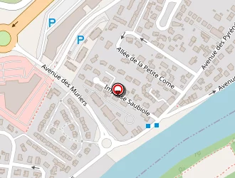 Carte de Miceli Carole à Roques sur garonne