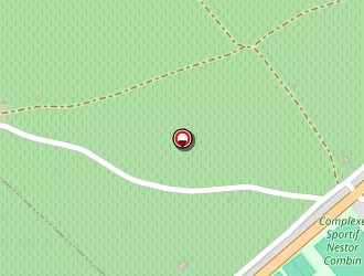 Carte de Vicario à Vic-la-gardiole