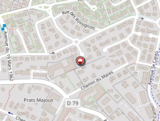 Carte de Lerisson Sébastien à Castanet-tolosan