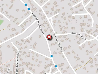 Carte de Taxi Chris (eirl) à Rognac