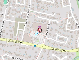 Carte de Fleur D'eden à Saint-lys