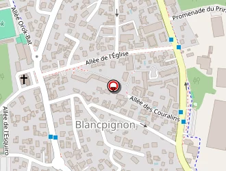 Carte de France Asia à Anglet