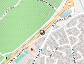 Carte de Sallée Thierry à Mireval