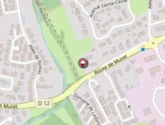 Carte de T.elec à Saint-lys