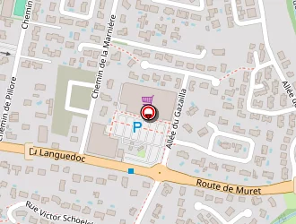 Carte de Marion Xavier à Saint-lys