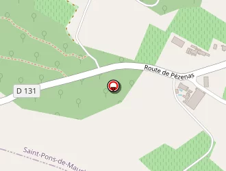 Carte de Beer Eric à Saint-pons-de-mauchiens