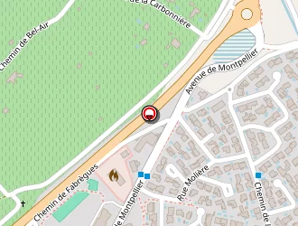 Carte de Badenaf Eric à Mireval