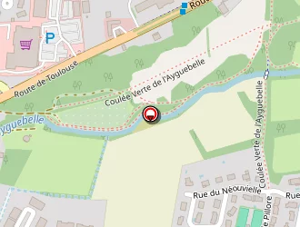 Carte de Rigal Philippe à Saint-lys