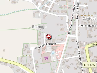 Carte de Roraï Jacques à Mirande