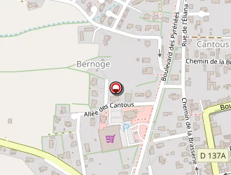 Carte de Ecole Primaire Publique (ecole) à Mirande