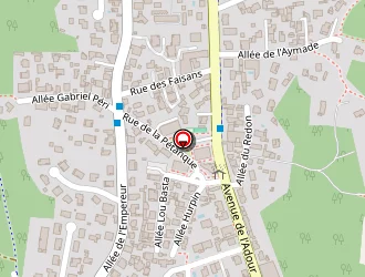 Carte de Galigazon Alain à Anglet