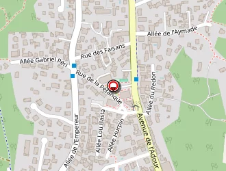 Carte de Guillon Patrice à Anglet