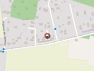 Carte de Miroux Services à Fonsorbes