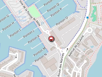 Carte de Lapszynski Nicolas à Grau-du-roi (le)