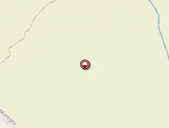 Carte de Roques Alain à Puéchoursi