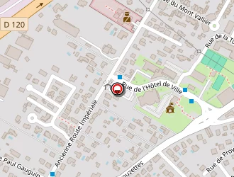 Carte de Delatre Thierry à Portet-sur-garonne