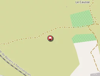 Carte de Mairie à Laurens