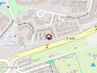 Carte de Pizzeto à Grau-du-roi (le)