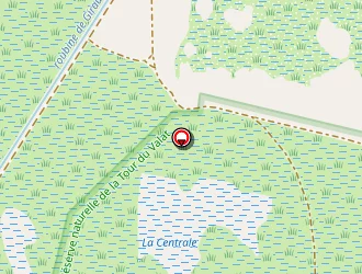 Carte de Rivaud Patricia à Arles