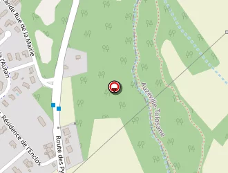 Carte de De Peretti Muniza à Pechbusque