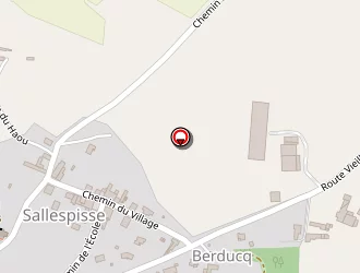 Carte de Villemiane Eric à Sallespisse