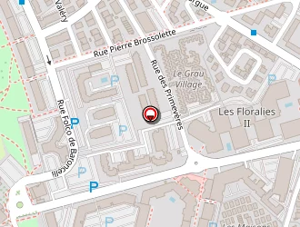 Carte de Goudin Michaël à Grau-du-roi (le)