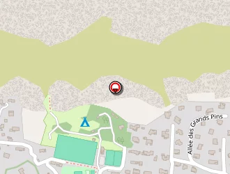 Carte de Légion Etrangère à Puyloubier