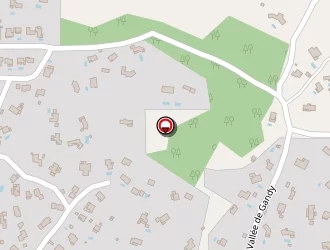 Carte de Taxi Michael à Draguignan