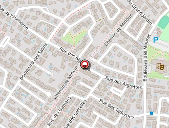 Carte de Mairie à Villeneuve-lès-maguelone