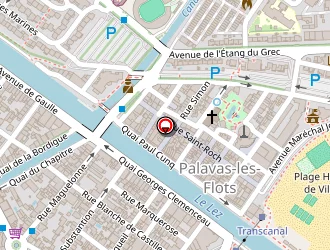 Carte de Delices De Tunis à Palavas-les-flots