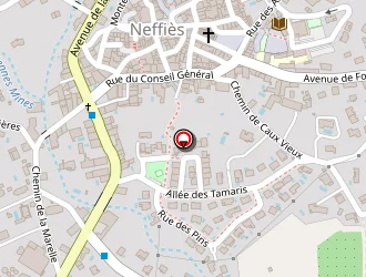 Carte de Hôtel De Ville à Neffiès