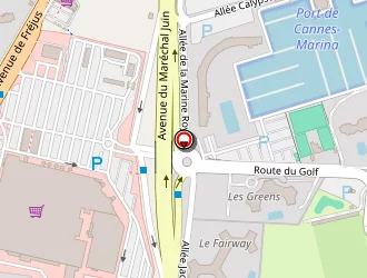 Carte de Transervices à Mandelieu-la-napoule