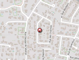 Carte de Ozturk Ayhan à Fonsorbes