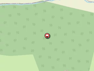 Carte de Cazaucurt Bernard à Saint-médard