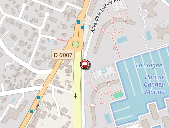 Carte de Auto-ecole Minelle à Mandelieu-la-napoule