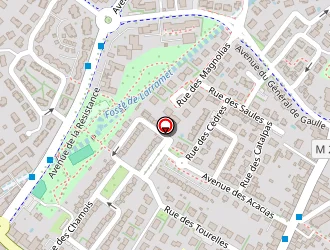 Carte de Le Wallow's à Cugnaux