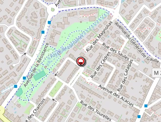 Carte de Taxi David à Cugnaux