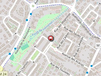 Carte de La Cognée à Cugnaux