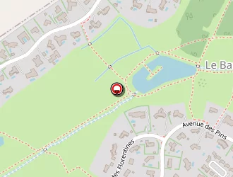 Carte de Sanchez José à Fonsorbes