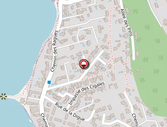 Carte de Gojon Joëlle à Saint-chamas