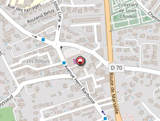 Carte de Meysson Frédéric à Saint-chamas