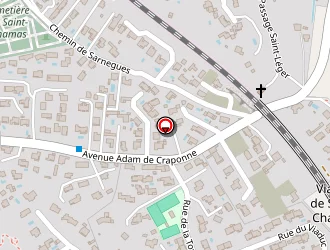 Carte de Grare Michel à Saint-chamas