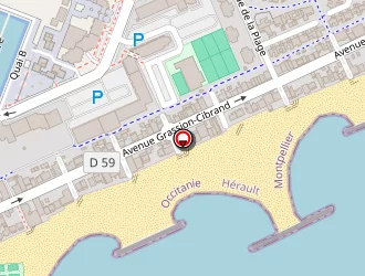 Carte de Michelin Valérie à Carnon