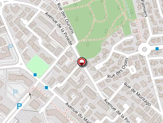 Carte de Le Capriska à Grau-du-roi (le)