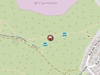 Carte de Laloux Jean Pierre à Cournonsec